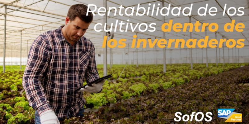 Rentabilidad-de-los-Cultivos-dentro-de-los-Invernaderos