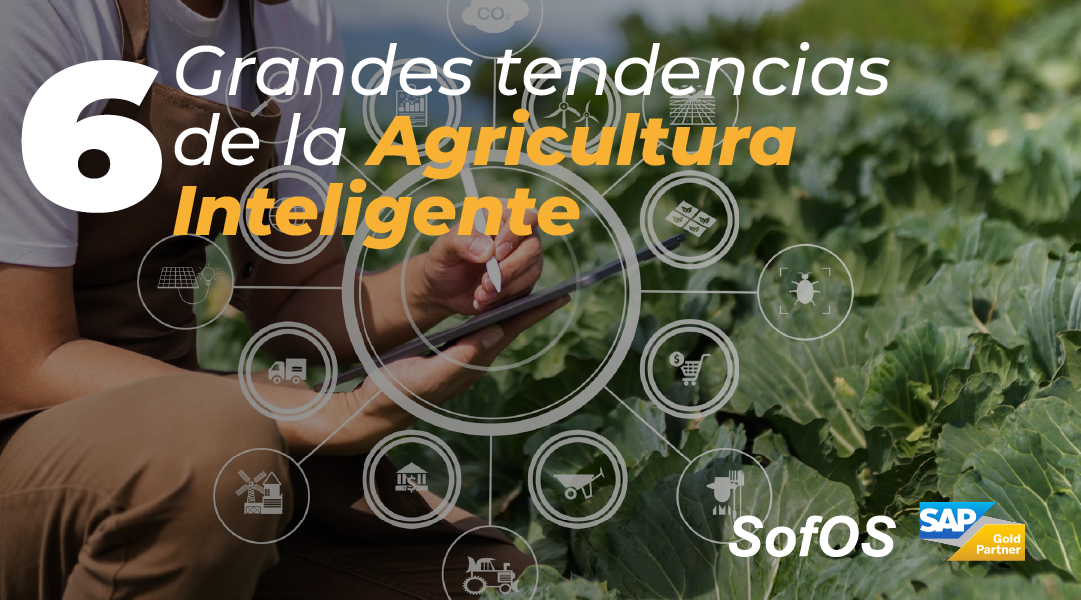 6-Grandes-Tendencias-de-la-Agricultura-Inteligente