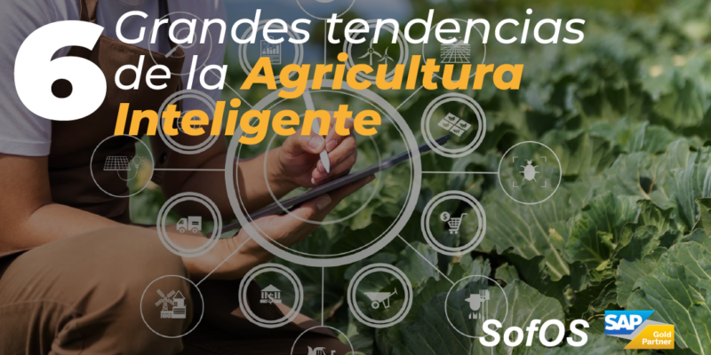 6-Grandes-Tendencias-de-la-Agricultura-Inteligente