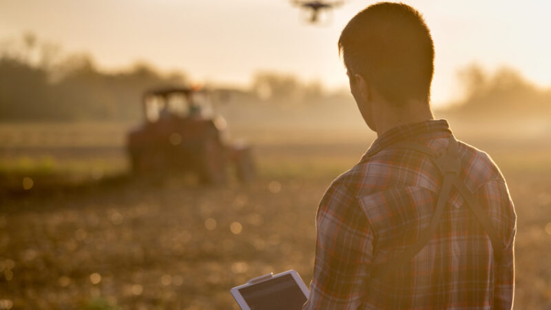 Attractive farmer navigating drone above farmland with tractor in background. High technology innovations for increasing productivity in agriculture