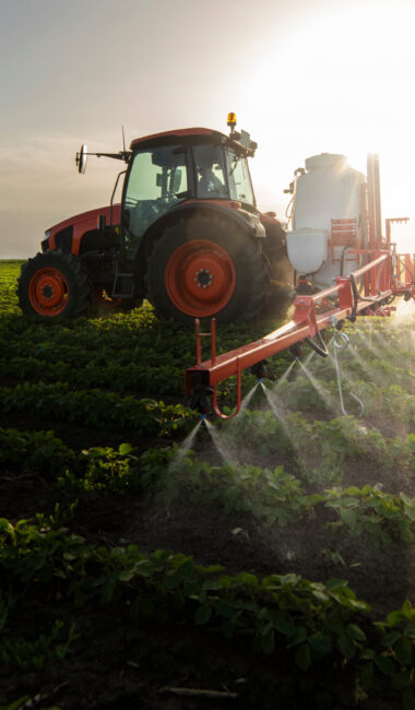 Tractor spraying pesticides on soy field  with sprayer at spring