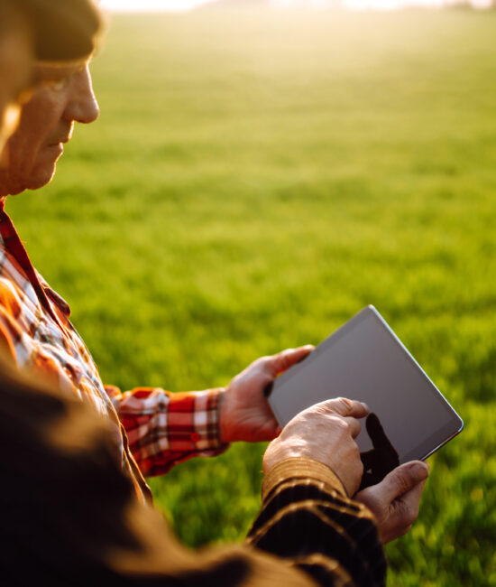 Two farmers standing in green wheat field using touch pad for ch